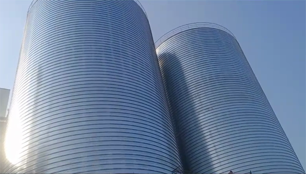 肇州2座混凝土高架卷板仓